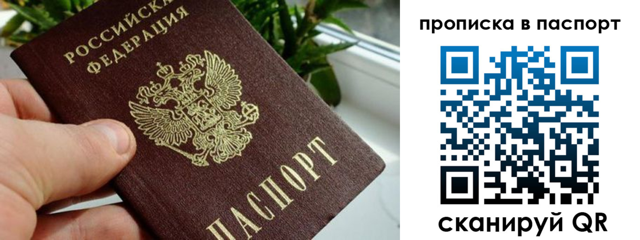пропишу в квартире в Галиче